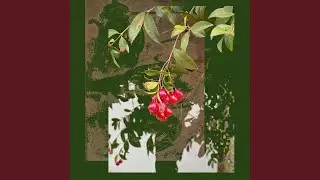 red flowers