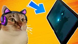The cat is watching skibidi toilet