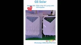 4inches 48v 750w solar dc pump with S/S impeller for shallow well from GS solar of China