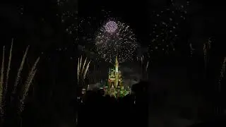 Fireworks in Magic Kingdom