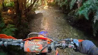 Akatarawa Forest Single Track