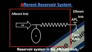 PHYSICS FOR ANAESTHETIST DEMYSTIFIED: BREATHING SYSTEMS- PART 1