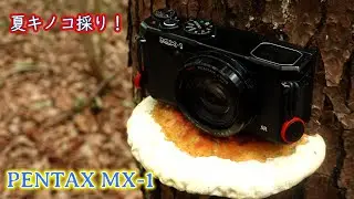 【夏キノコ採り】最強コンデジPENTAX MX-1で静止画を撮影！