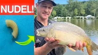 🎣 Perfekte Angel-Nudeln vorbereiten + Bonus Tipps!