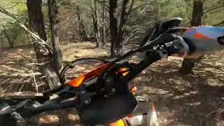 Bill's Woods at Red River Motorcycle Trails - Feb 2024