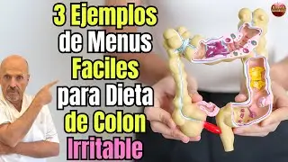 3 MENUS FACILES EN UNA DIETA PARA COLON IRRITABLE 🌿🍽️ Desayuno, almuerzo y comida (bajo FODMAP)