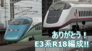 さよならとれいゆつばさ　～最後のR編成～