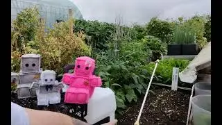 Mellif Cordless Garden Sprayer 3.17gal (12 Litre) MFSP12L-01 🌱 How Do I help My Beans Set 🌞 