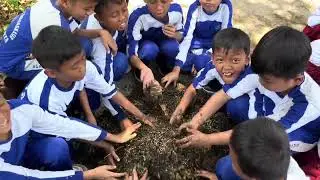 🌳 Small Hands, Big Learning 🌱 | A Day in Our Lives – Fourth Grade