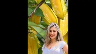 How to peel and eat star fruit [So healthy!] #shorts #viral #starfruit #shortvideo #asmr