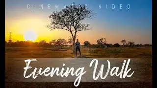 Evening Walk 😍 | Cinematic B-Roll | Himanshu Adi
