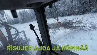 Risujen ajoa ja höpinää