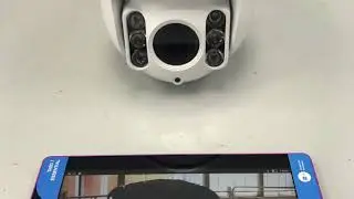 Calving Cameras