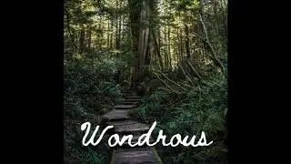 Darth Nader - Wondrous [Piano Solo/Classical]