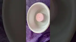 Crisp Sponge Slicing