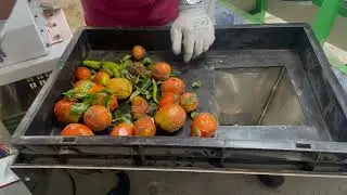 Low cost Automatic Shredder for composting