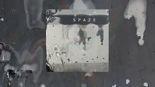Spaze - The Newest Year (Unofficial)