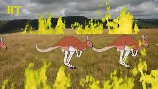 kangaroo in australia fire drawing - Together to protect nature