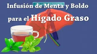Infusi&oacute;n de menta y boldo para el H&Iacute;GADO GRASO