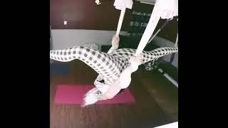 &ldquo;Aerial Skills&rdquo; Inversions, Stag, Aerial Splits