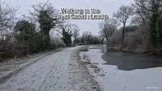 Walking in the Leixlip Royal Canal