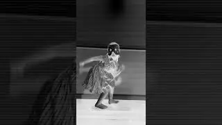 The X-Ray dance? 😂#homeschoolfun #homeschool #kindergarten