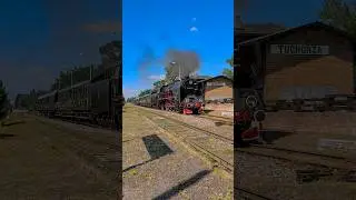 Pt47-65🚂z pociągiem specjalny | 10.08.2025📅 #parowozy #wolsztyn #dampflok #steam #railway #train