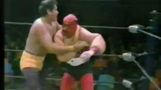 Sin Tornillos Luchador