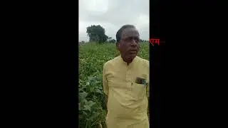 MARVIN - Farmer Success Story - Soyabean - M-Fruiton, Nexin, Nutrovin-S etc