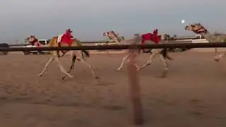 الشوط الرئيسي للحيل والثنايا - سحابه للسيد ثامر بن احمد الفندل