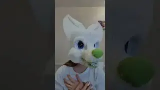 все мои основки похожи на Рейчела | #furries #cute #reichel #edit #Фохита