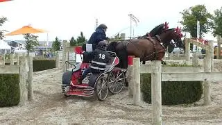 HEIBING Lars, DEN, FEI WCH Pairs, Kronenberg NL, Marathon Obs 7, 11 09 2021