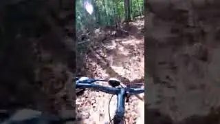 Cycle Race #shorts #how #birds #parrots #272 #groming #race #ytshorts #animation #dogs #animals