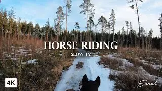 Silent Uncut Horse Riding in early spring weather - 4K Slow TV