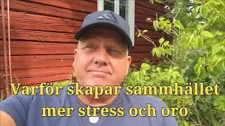 Det &auml;r meningen att vi ska k&auml;nna stress och oro