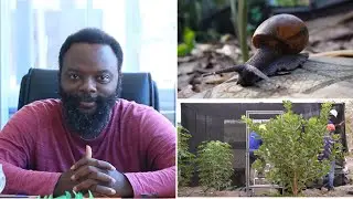 Training for Aspiring Snail Farmers: Your Key to Success | Part 2