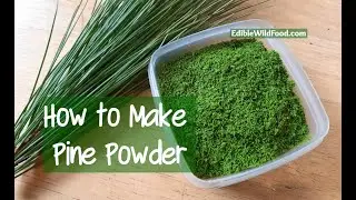 How to Make Pine Powder