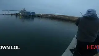 STEELHEAD FISHING COLUMBIA RIVER!