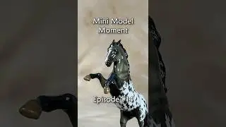 Mini Model Moment Episode 14