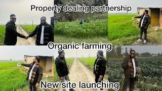 Organic farming in big scale / property dealing site / village #organic #farming #propertyforsale