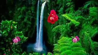 Good morning   have a nice day   sweet & cute good morning wishes