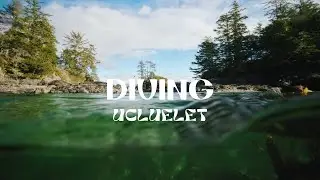 Snorkeling in Ucluelet, BC | Turquoise Waters & Islands