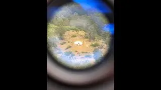 45/70 At 1,123 Yards