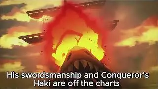 The 5 Strongest Pirate Crews in One Piece