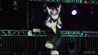Midwest FurFest 2021 - Dance Competition - Crowflight