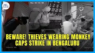 Thieves in Monkey Caps Target Bengaluru's Medical Stores, Raising Security Concerns