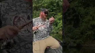 🎣 The World's SMALLEST Glide Bait Actually Works!!  🎣