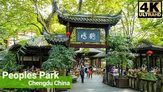 🇨🇳 4K | Morning WALK At Chengdu's Most Famous Park ~ 4K Ultra HD