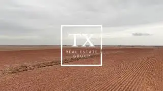 186&plusmn; Acre Dryland Farm Just Listed in Cochran County, TX