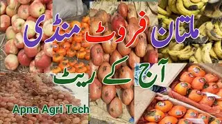 multan sabzi fruit mandi multan today